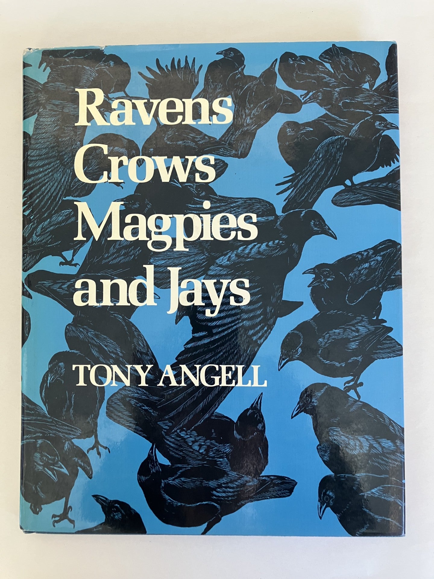 Book cover Ravens, Crows, Magpies, and Jays