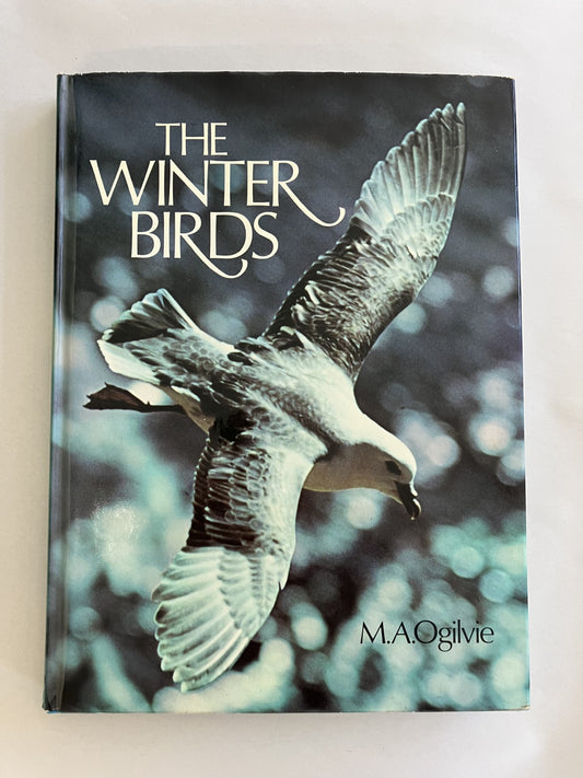 The Winter Birds cover