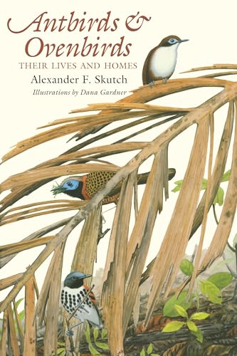 Antbirds & Ovenbirds: Their Lives and Homes [USED]
