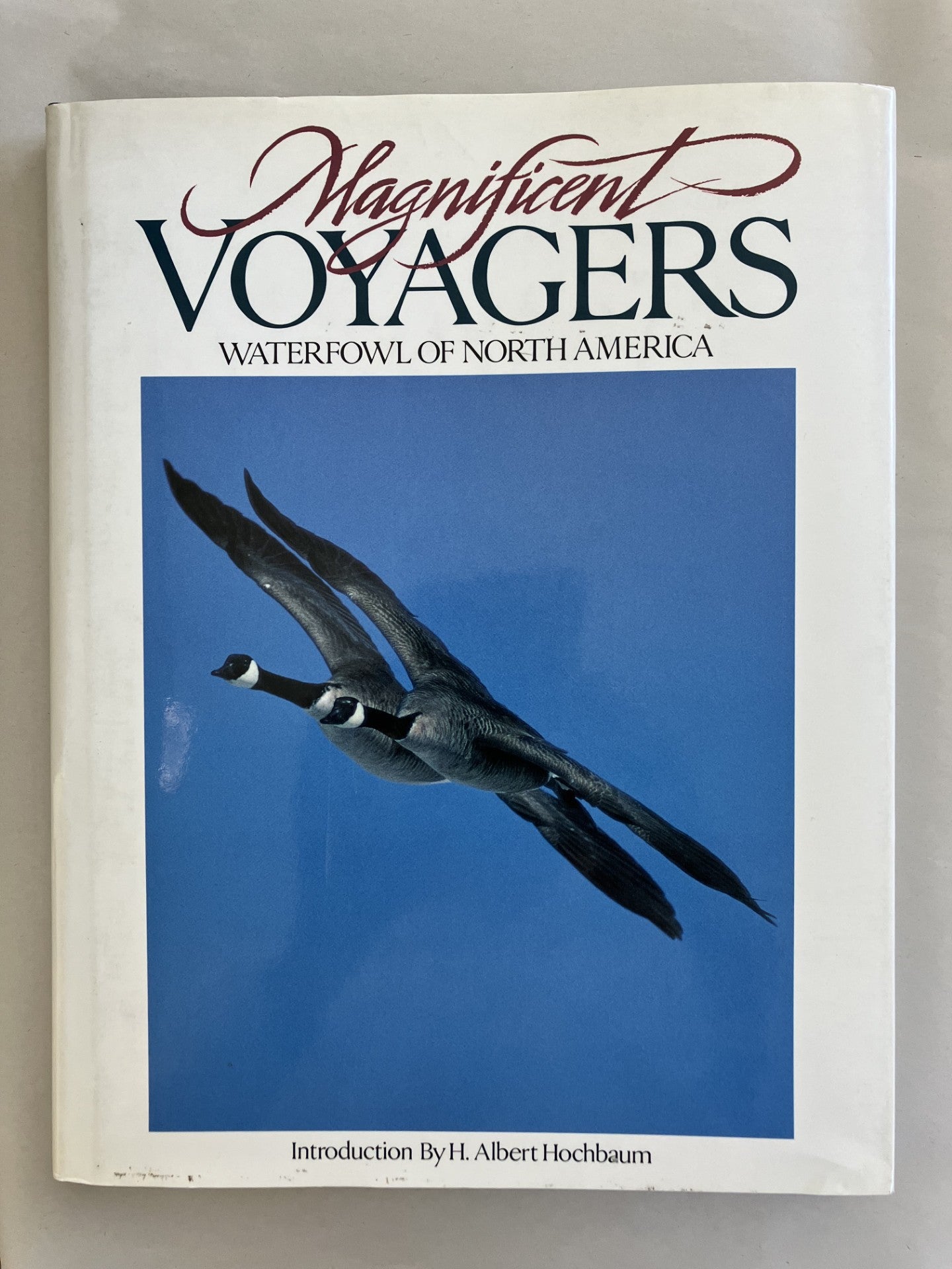 Magnificent Voyagers: Waterfowl of North America