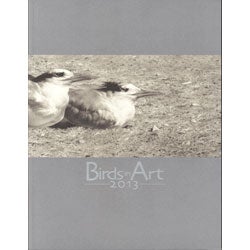Book cover and/or sample page of Birds In Art 2013. Leigh Yawkey Woodson Art Museum Exhibition Catalog