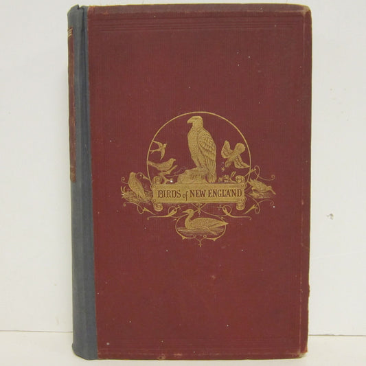 Book cover The Birds of New England and Adjacent States