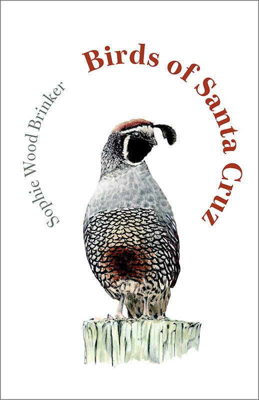 Pre-Order: Birds of Santa Cruz