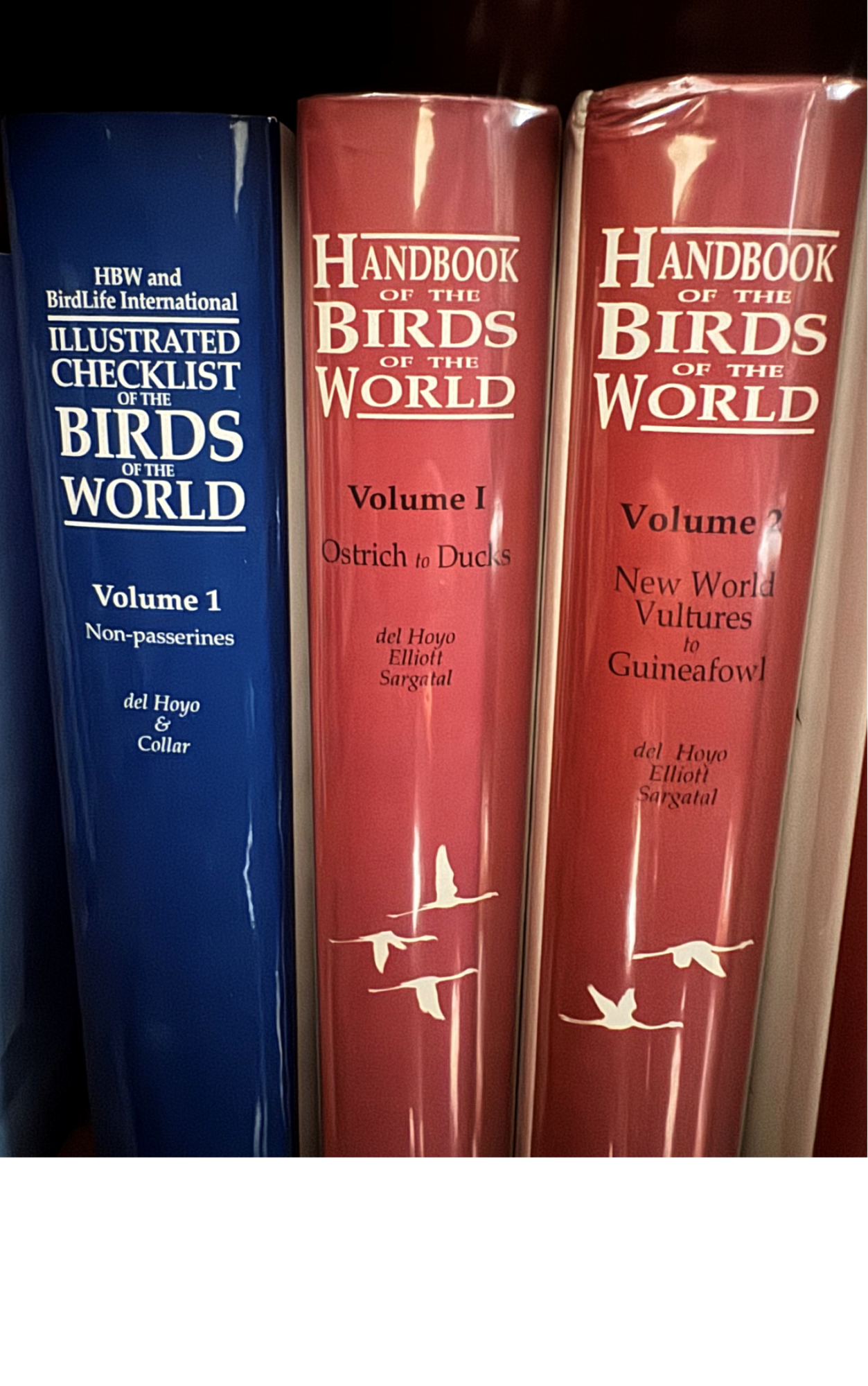 Handbook of the Birds of the World, Volumes 1 through 17 (plus Illustrated Checklist of the Birds of the World)