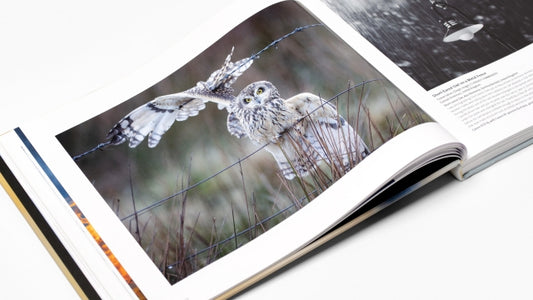 Bird Photographer of the Year: Collection 10