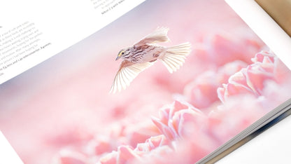 Bird Photographer of the Year: Collection 10