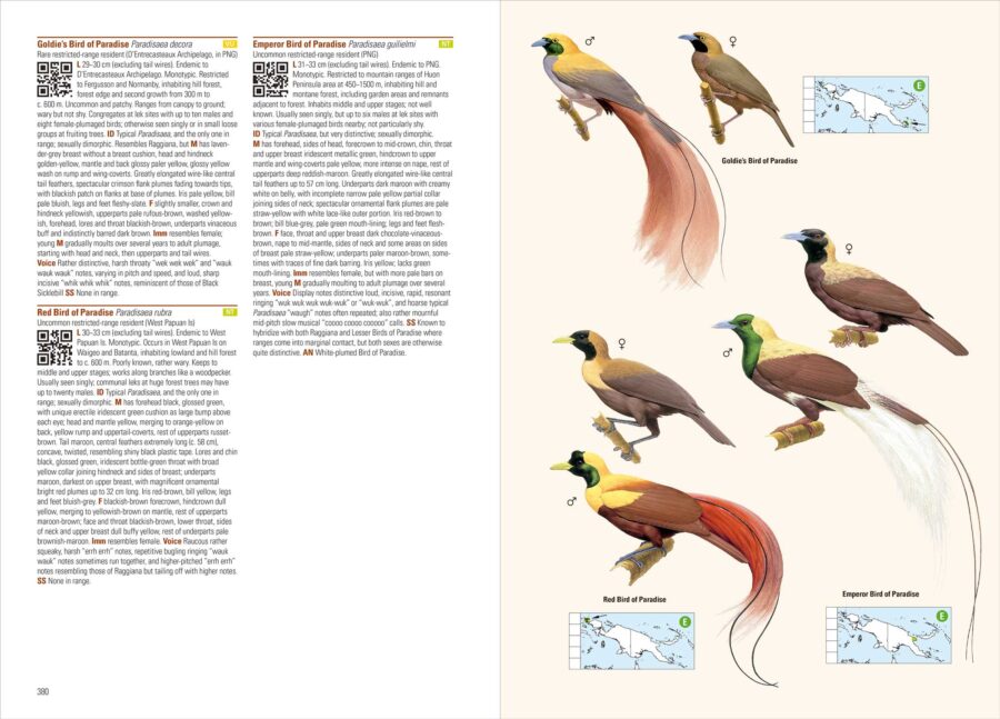 Birds of New Guinea: Including Bismarck Archipelago and Bouganville (2nd Edition)