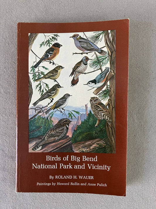 Birds of Big Bend National Park and Vicinity