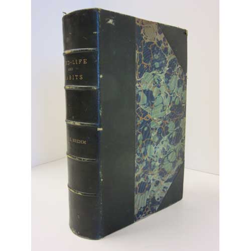 Book cover and/or sample page of Bird-Life: Being a History of the Bird, Its Structure, and Habits