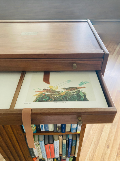 The Original Watercolor Paintings by John James Audubon for the Birds of America: Collector's Edition