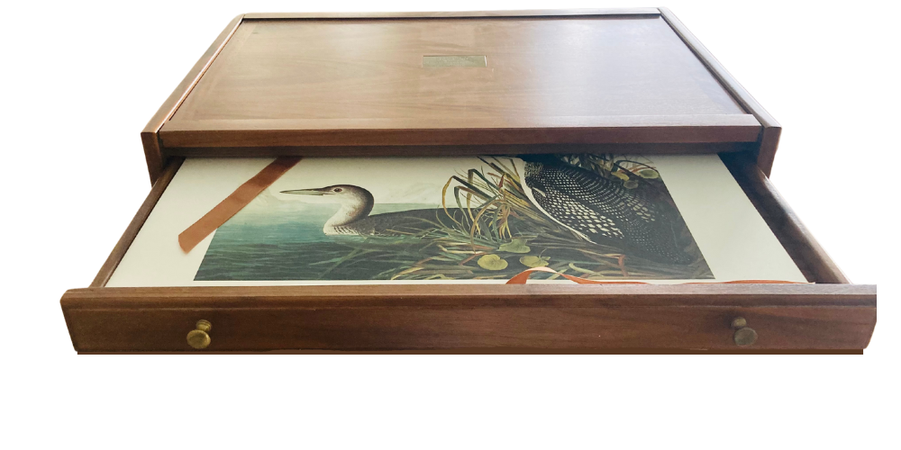 Book cover The Original Watercolor Paintings by John James Audubon for the Birds of America: Collector's Edition