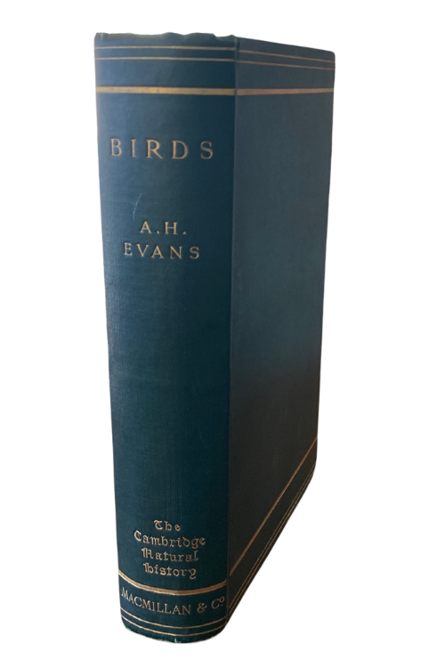 Book cover Birds