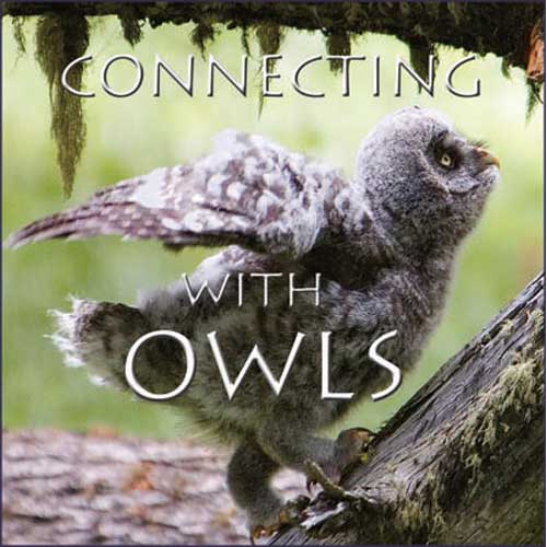 Book cover and/or sample page of Connecting with Owls [DVD]