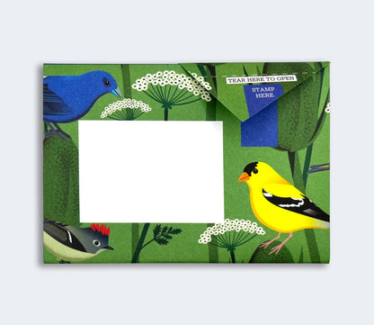 Pigeon: Letter Packs