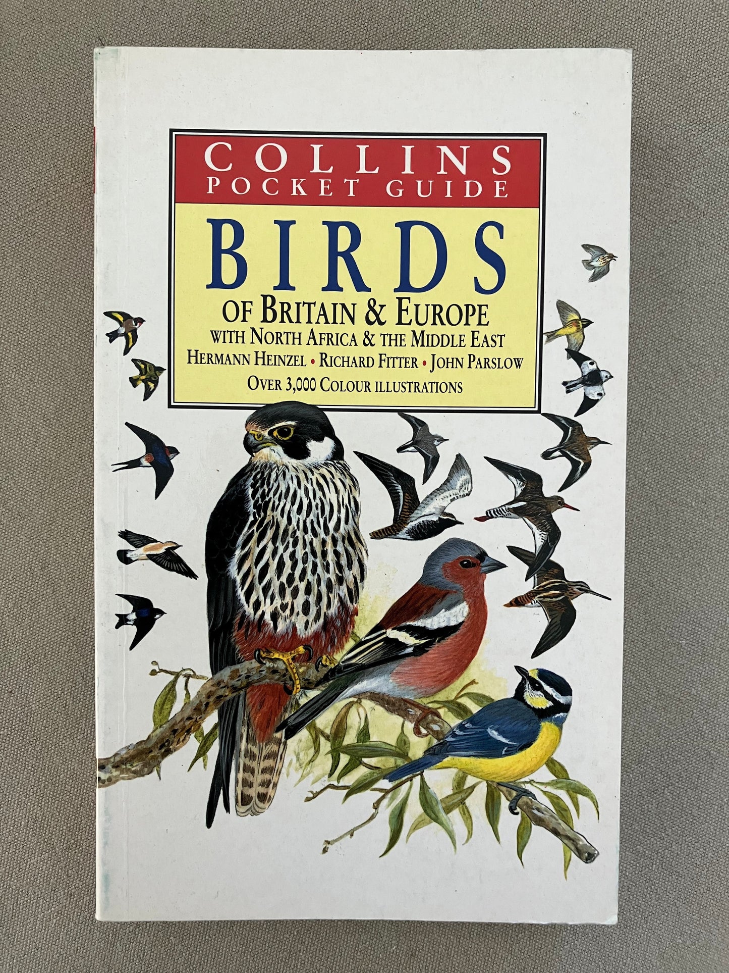 Collins Pocket Guide: Birds of Britain and Europe with North Africa and the Middle East