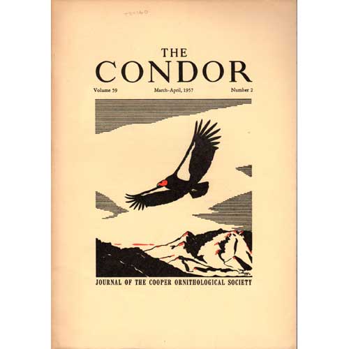 Book cover and/or sample page of Birds of a Second-growth Rain Forest Area in Nicaragua