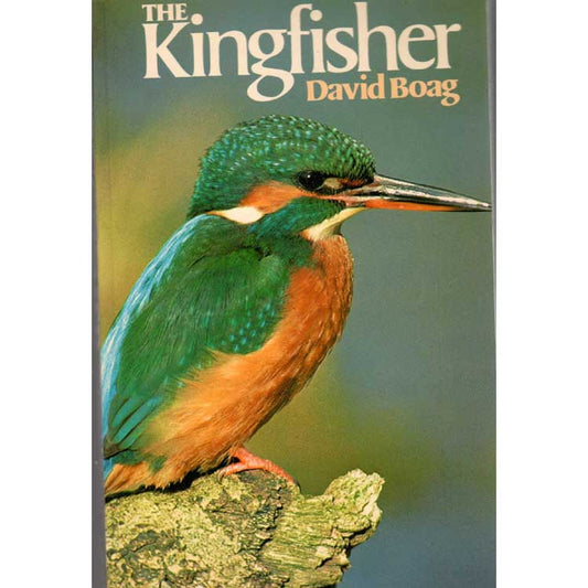 Book cover and/or sample page of The Kingfisher