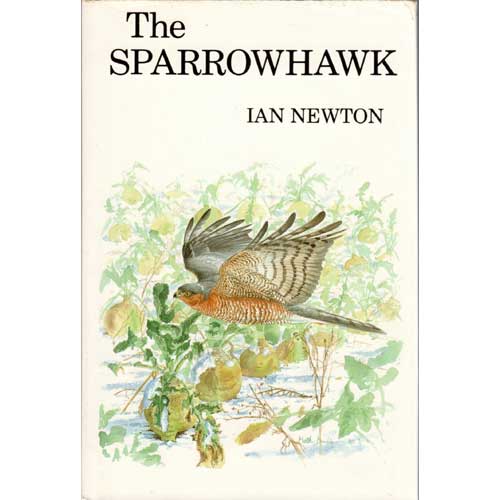 Book cover and/or sample page of The Sparrowhawk