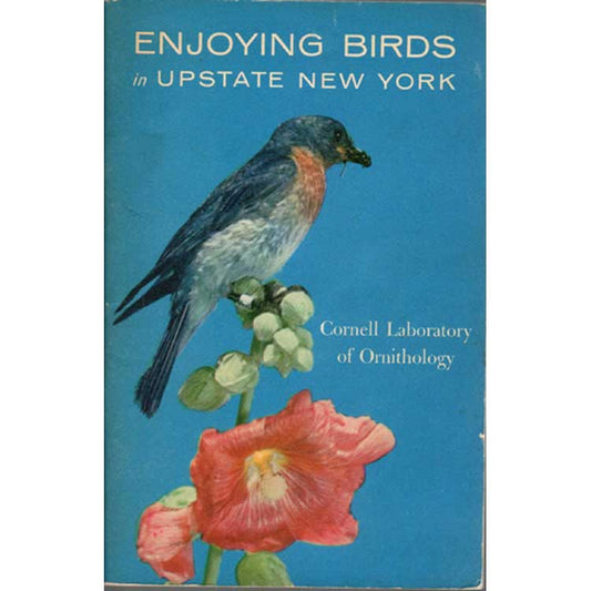 Enjoying Birds in Upstate New York cover