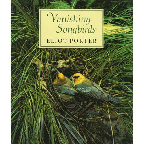 Book cover and/or sample page of Vanishing Songbirds