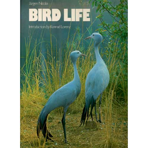 Book cover and/or sample page of Bird Life