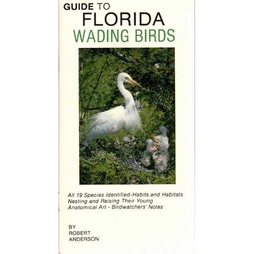 Book cover and/or sample page of Guide to Florida Wading Birds