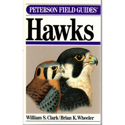 Book cover and/or sample page of A Field Guide to Hawks North America