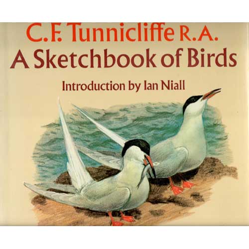 Book cover and/or sample page of A Sketchbook of Birds