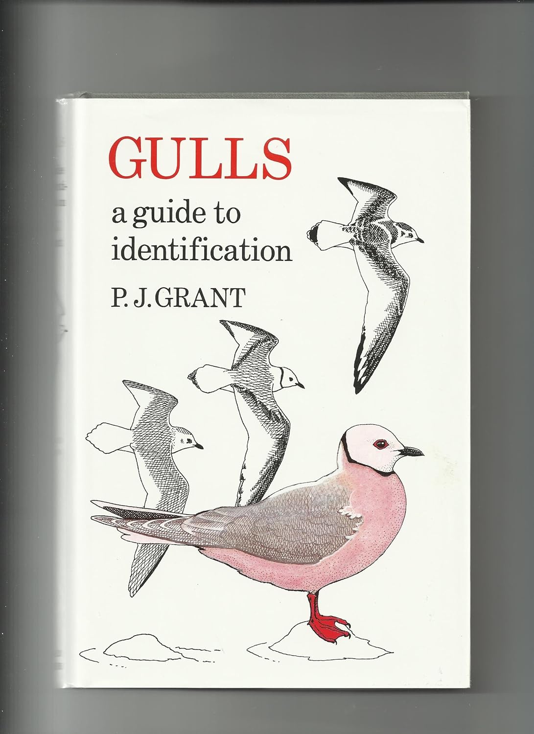 Gulls: A Guide to Identification. Second Edition book cover