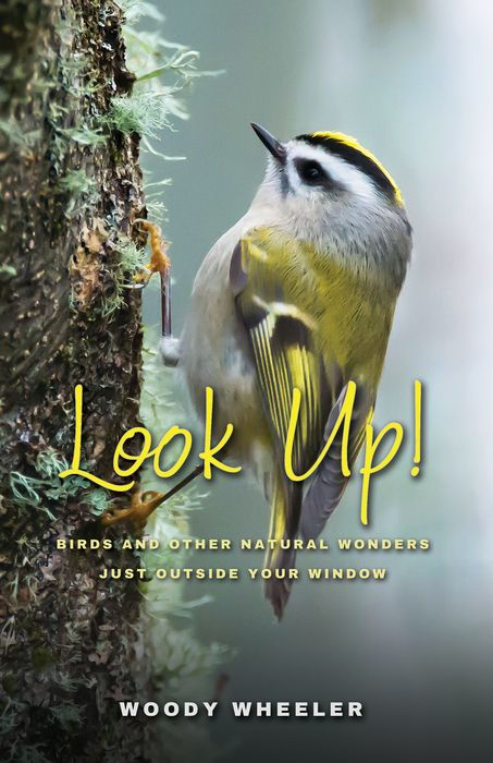 Book cover Look Up! Birds and Other Natural Wonders Just Outside Your Window