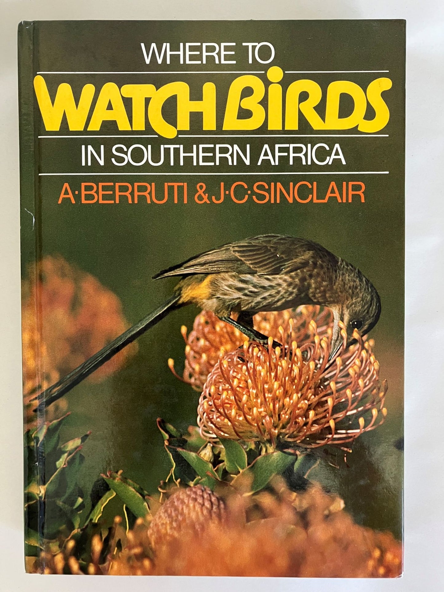 Book cover Where to Watch Birds in Southern Africa