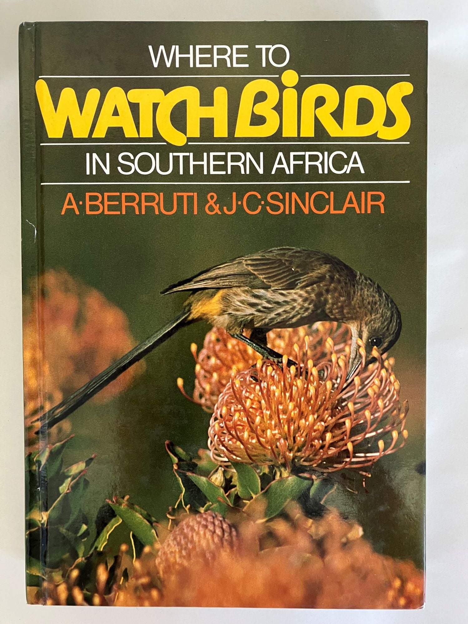 Book cover Where to Watch Birds in Southern Africa