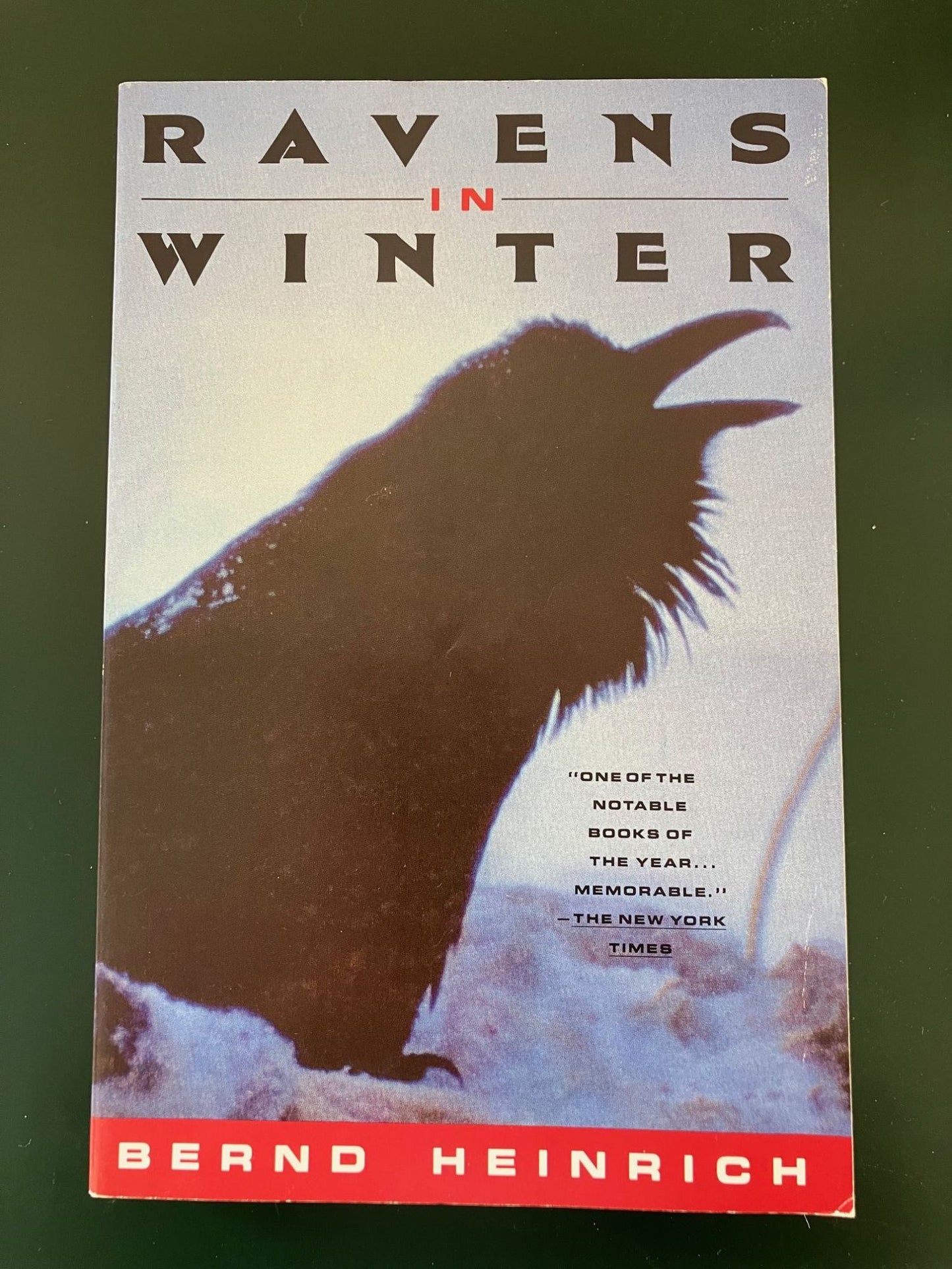 Book cover Ravens in Winter