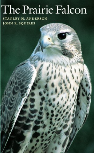 Book cover The Prairie Falcon