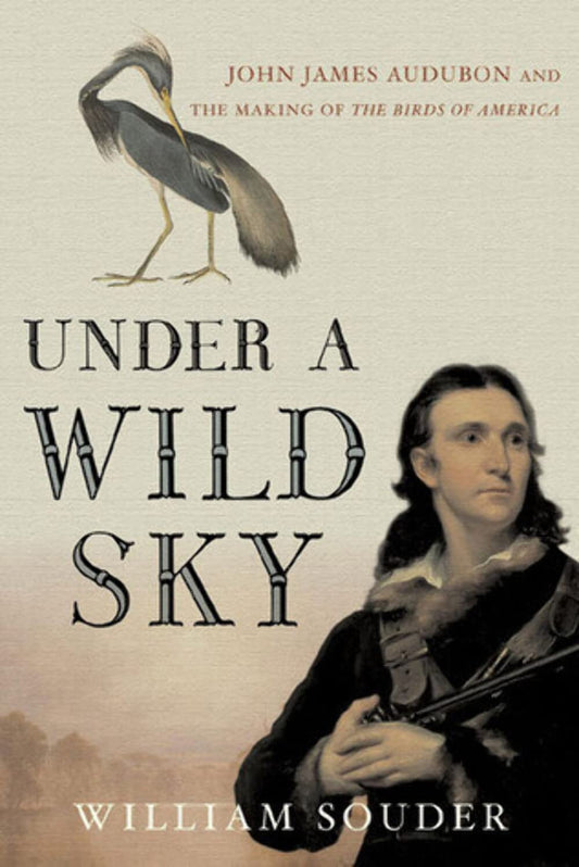 Book cover Under a Wild Sky