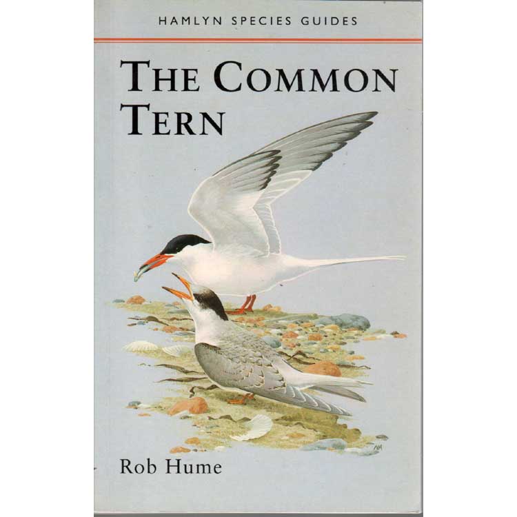 Book cover and/or sample page of The Common Tern