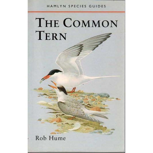Book cover and/or sample page of The Common Tern