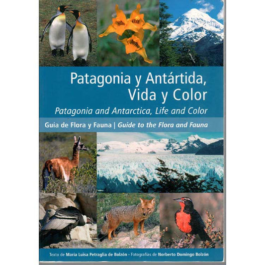 Book cover and/or sample page of Patagonia y Antartida, Vida y Color