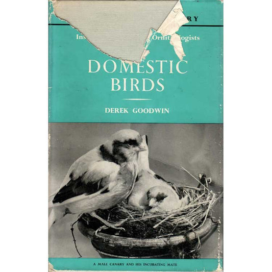 Book cover and/or sample page of Instructions to Young Ornithologists VI Domestic Birds