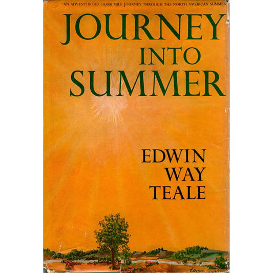 Book cover and/or sample page of Journey into Summer
