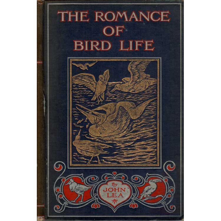 Book cover and/or sample page of The Romance of Bird Life