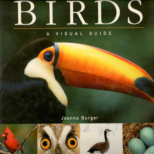Book cover and/or sample page of Birds A Visual Guide