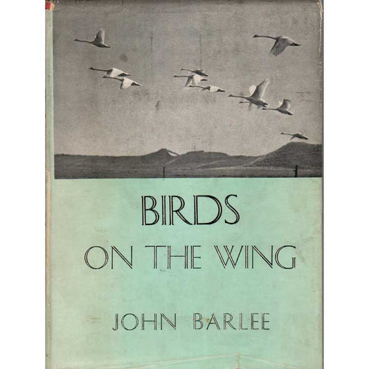 Book cover and/or sample page of Birds on the Wing