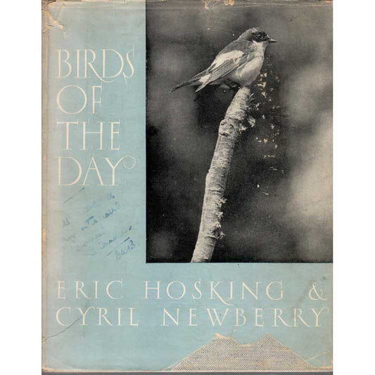 Book cover and/or sample page of Birds of the Day