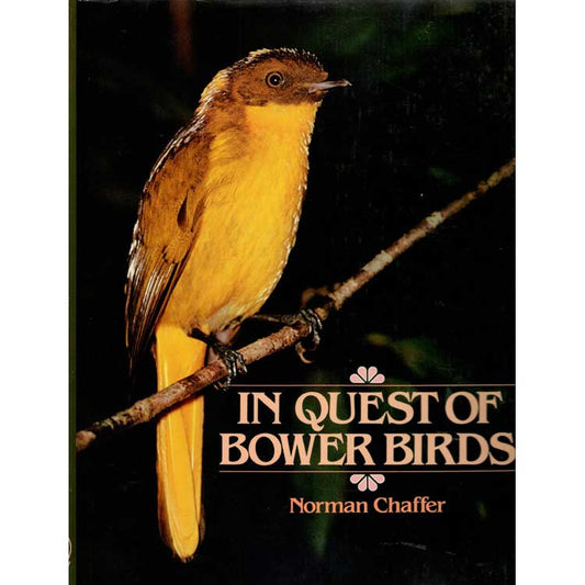 Book cover and/or sample page of In Quest of Bowerbirds