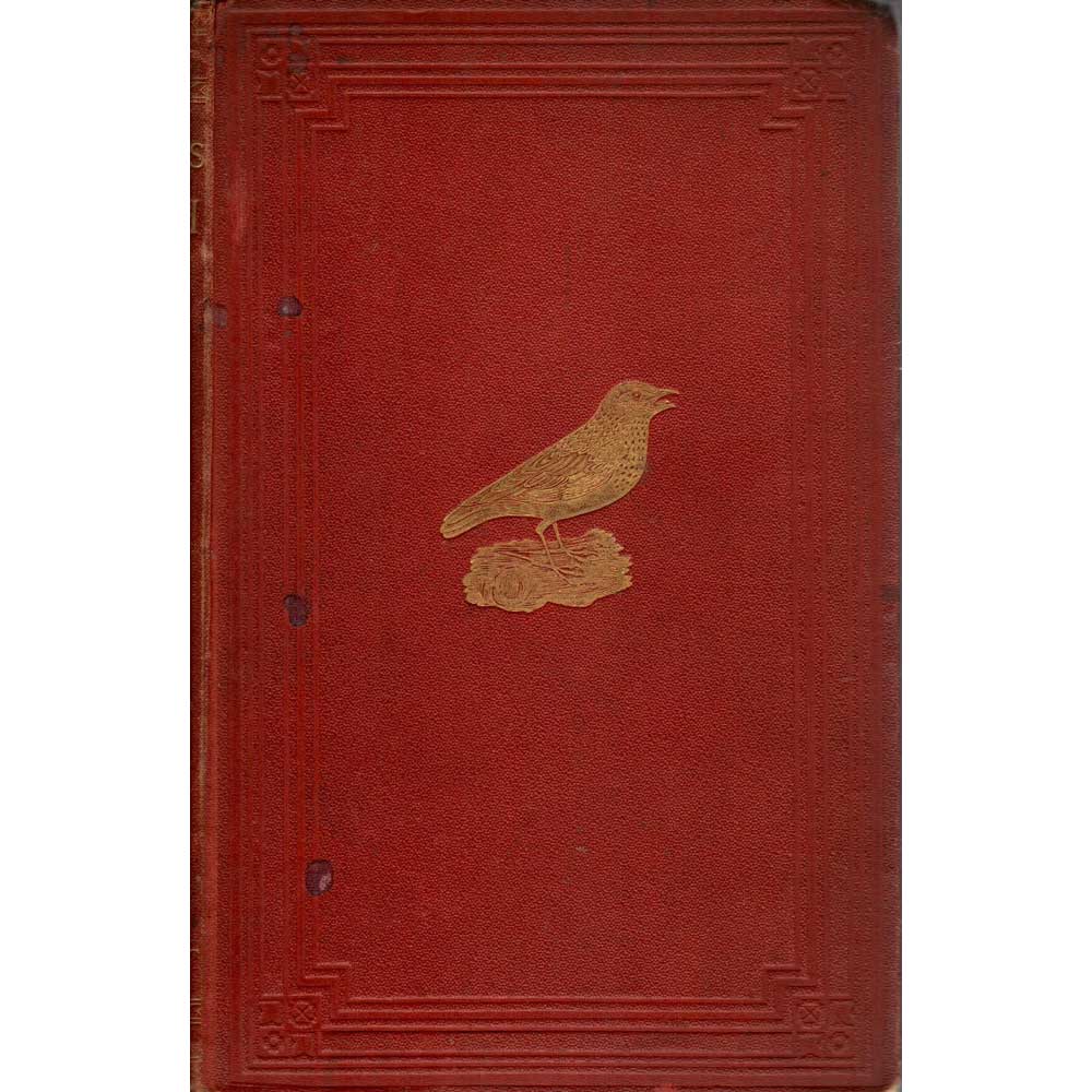 A Dictionary of British Birds cover