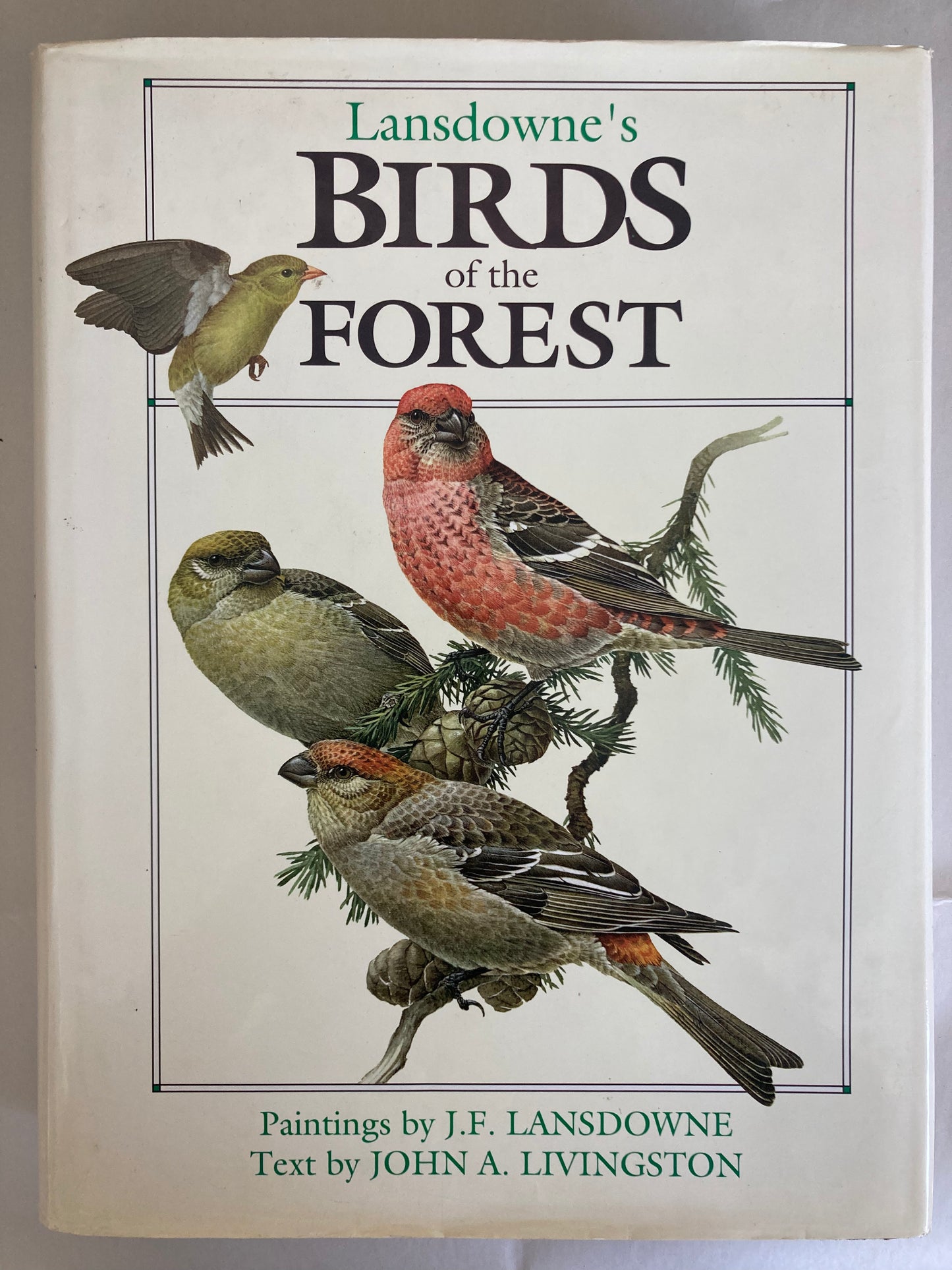 Birds of the Forest