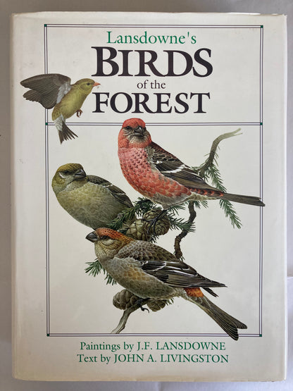 Birds of the Forest