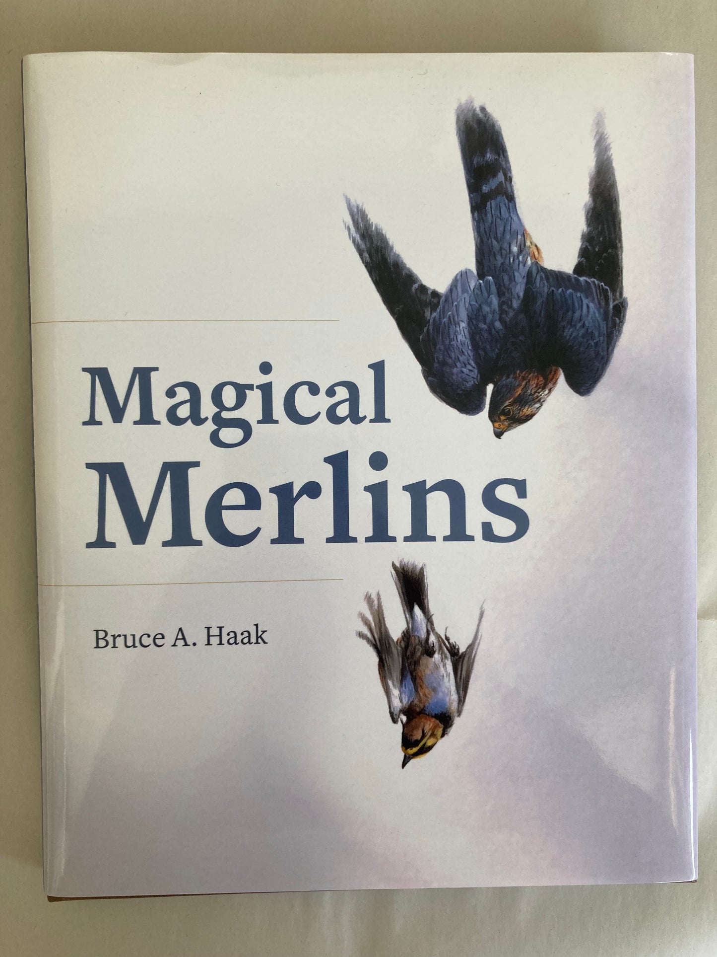 Magical Merlins