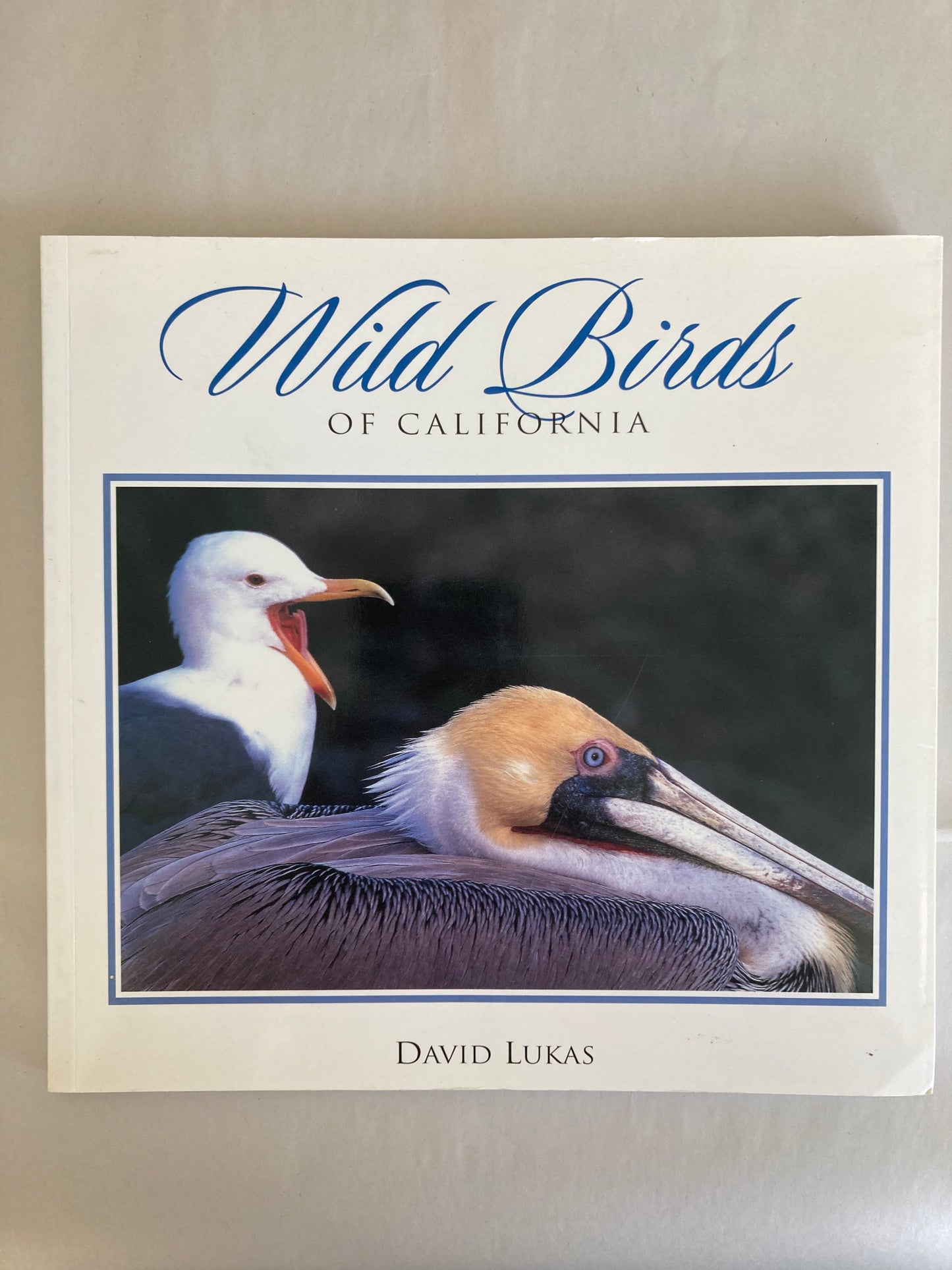 Wild Birds Of California